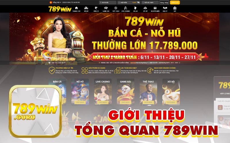 Giới Thiệu Tổng Quan Về Hệ Thống Cá Cược 789Win