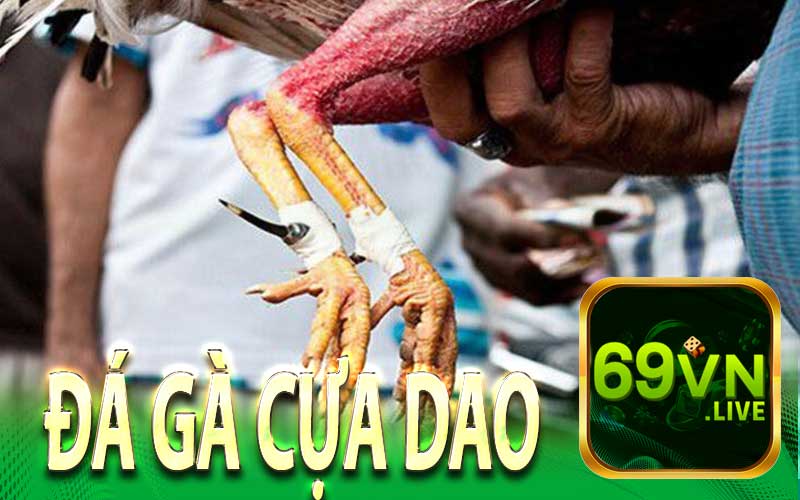 Giới Thiệu Tổng Quan Về Đá Gà Cựa Dao