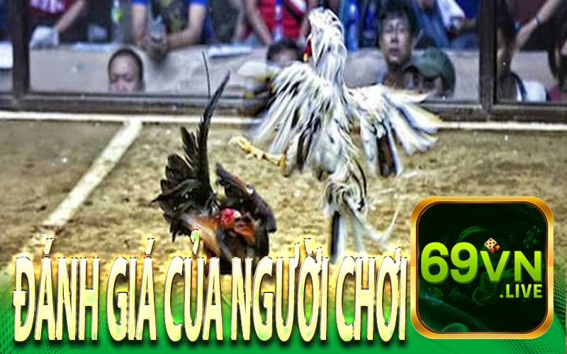 Đánh Giá Của Người Chơi