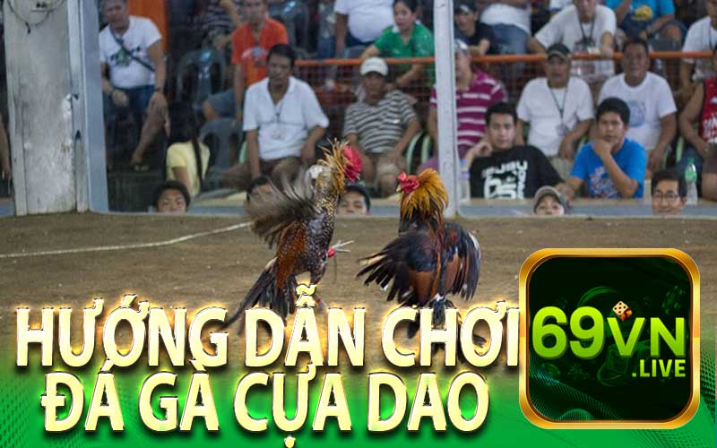 Hướng Dẫn Cách Chơi Đá Gà Cựa Dao